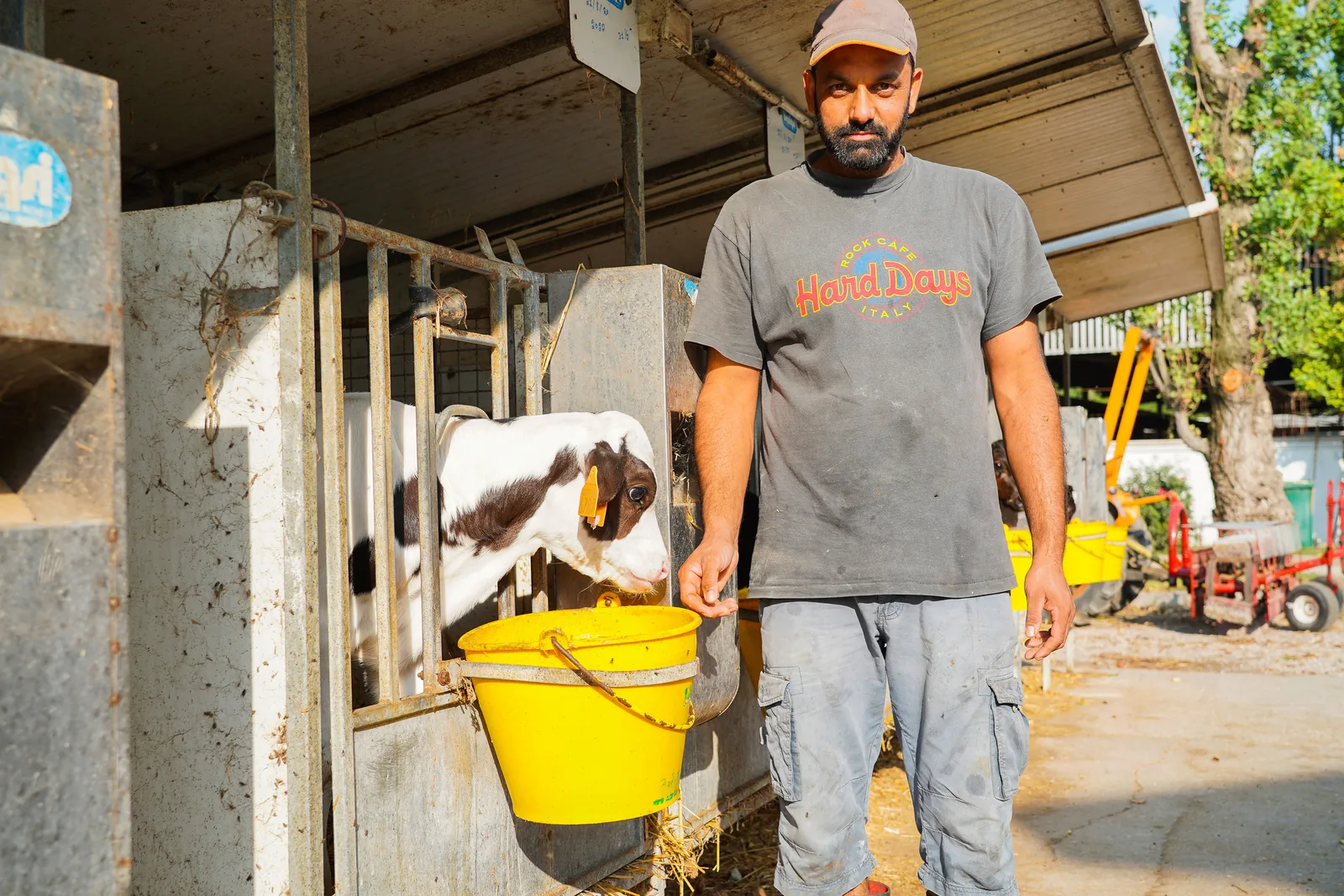 Un addetto al lavoro nella stalla