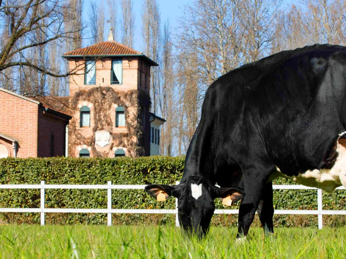 Il titolare dell'Azienda Agricola Finato Martinati davanti alla villa