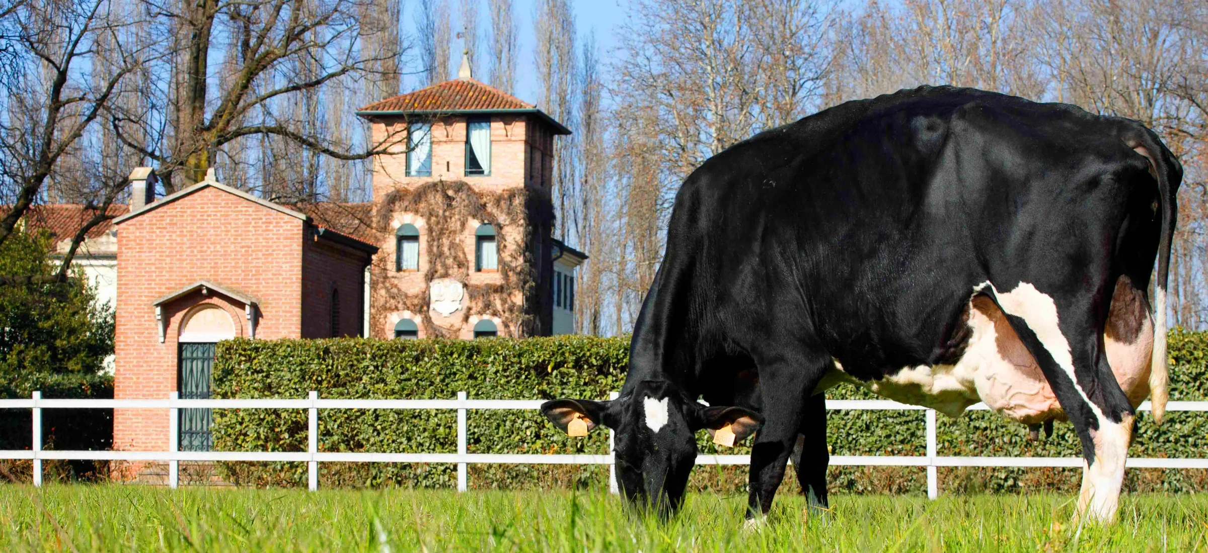 Il titolare dell'Azienda Agricola Finato Martinati davanti alla villa