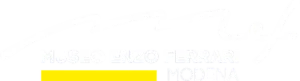 Museo Enzo Ferrari, Modena